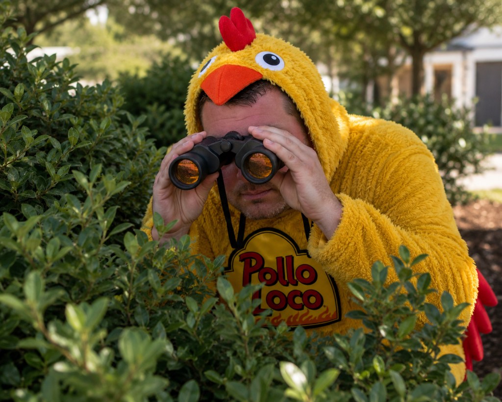 A person dressed in a chicken costume, holding binoculars, peering through bushes outdoors.